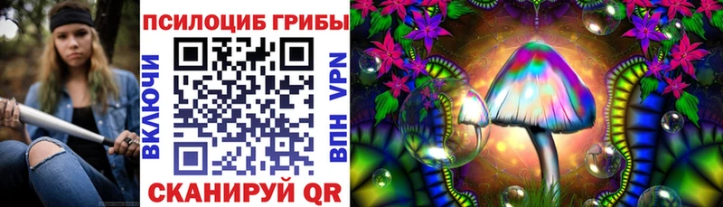 продажа наркотиков  Снежногорск  Галлюциногенные грибы Magic Shrooms 